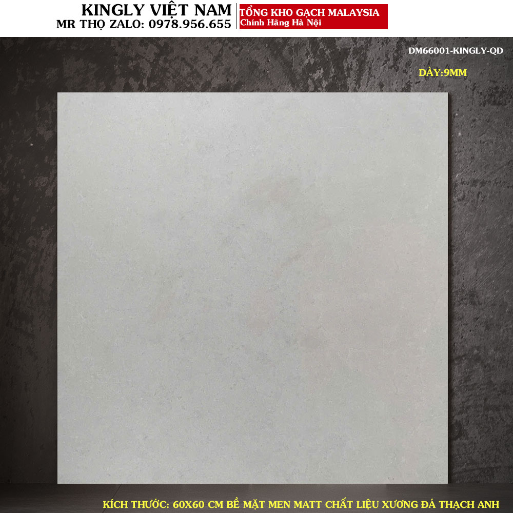 Gạch lát nền giả đá màu xám ghi Malaysia 60x60 DM66001